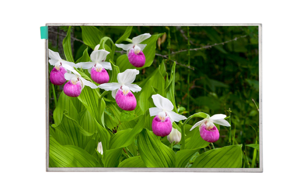 7寸工業顯示屏 7寸工業顯示屏