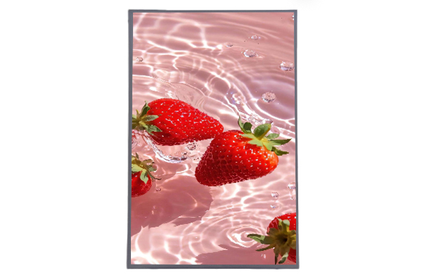 10.95寸1200*2000液晶屏：視覺體驗與應用前景全面解析