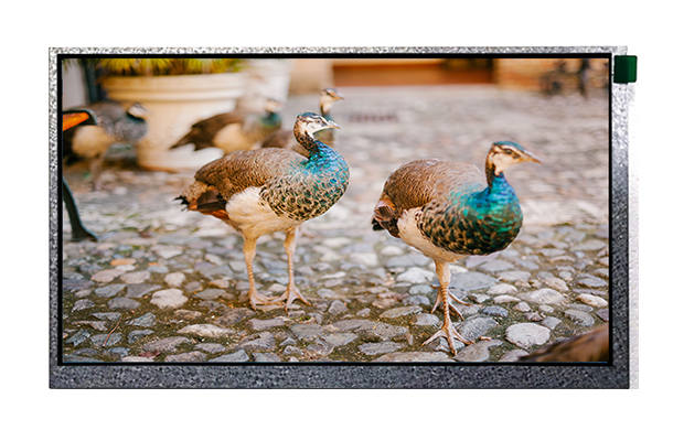 9寸LCD液晶屏的應用領域與未來趨勢——從消費電子到工業自動化