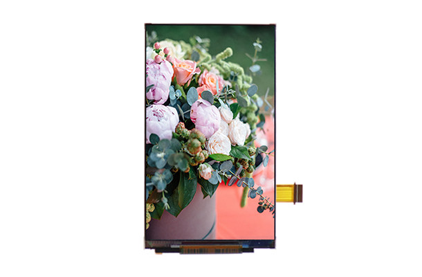 小尺寸，大視界——4.3寸480×800 TFT液晶屏的多領域創新應用