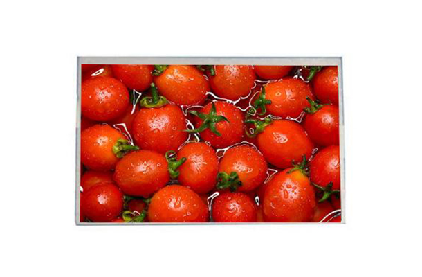 8 寸液晶顯示屏的價值與趨勢：從核心參數到行業(yè)應用的全面解析