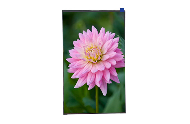 2K級視界：詳解10.95寸1200*1920 TFT液晶屏的頂級配置與應用前景